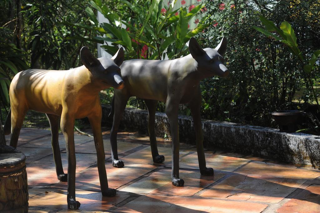 Pousada Sao Francisco De Paula Ouro Preto  Eksteriør billede